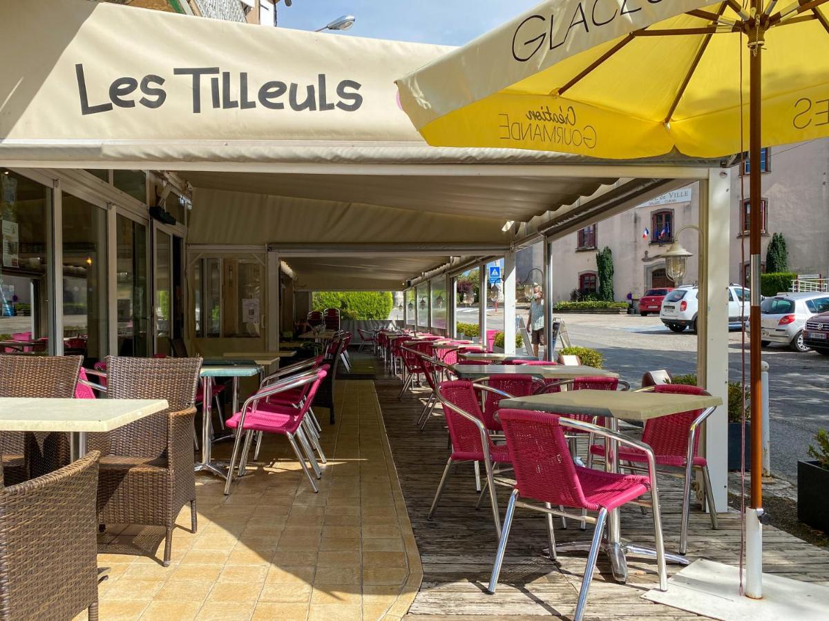 Hotel Les Tilleuls De Pareloup A Salles-Curan エクステリア 写真