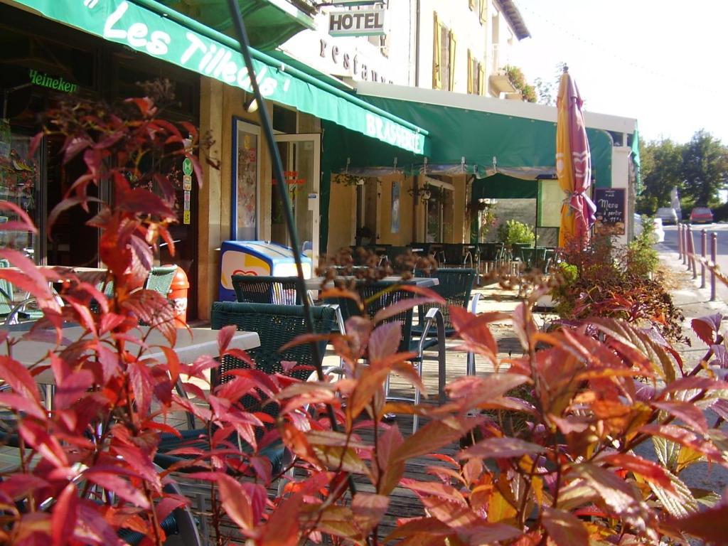 Hotel Les Tilleuls De Pareloup A Salles-Curan エクステリア 写真